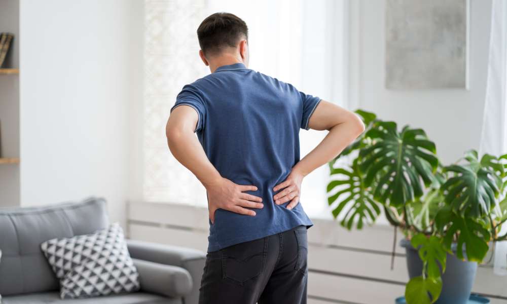 Chiropractor (Back In Motion Group) vs. Physical Therapist: Understanding the Differences and Choosing the Right Care